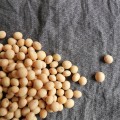 胸を大きくする食べ物にはどんなものがあるのか 胸を大きくする食べ物にはどんなものがあるのか