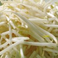 もやしダイエットの効果を検証! 本当に痩せるの? もやしダイエットの効果を検証! 本当に痩せるの?