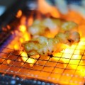 お肉をたくさん食べても大丈夫!バラエティーミートでダイエット☆ お肉をたくさん食べても大丈夫!バラエティーミートでダイエット☆