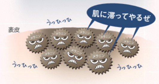 画像③
