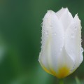 保湿力UPの効果!キレイな肌になりたいなら、まず保湿力! 保湿力UPの効果!キレイな肌になりたいなら、まず保湿力!