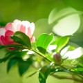 夏が終わった途端、油断していませんか?秋も美白を続けて美肌になろう 夏が終わった途端、油断していませんか?秋も美白を続けて美肌になろう