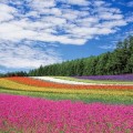 美容と健康に重要な腸の働きのカギをにぎる腸内細菌美容について 美容と健康に重要な腸の働きのカギをにぎる腸内細菌美容について