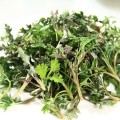 よもぎ蒸しでダイエットできるの?よもぎ蒸しの効果は? よもぎ蒸しでダイエットできるの?よもぎ蒸しの効果は?